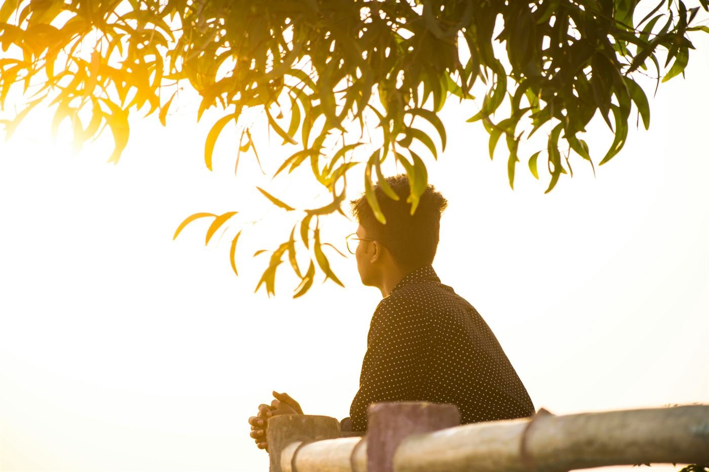 A person resting on a railing at sunset, looking out